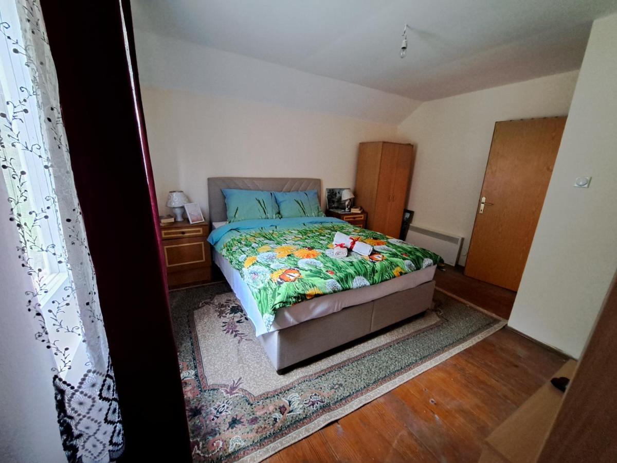 Guest House Radovic Tjentiste Extérieur photo