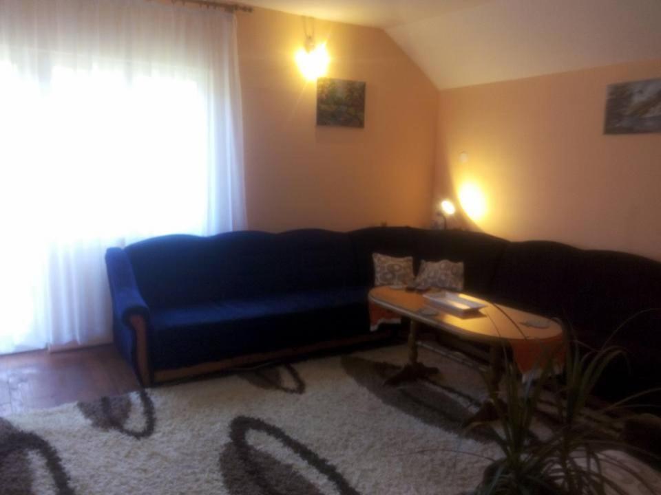 Guest House Radovic Tjentiste Extérieur photo