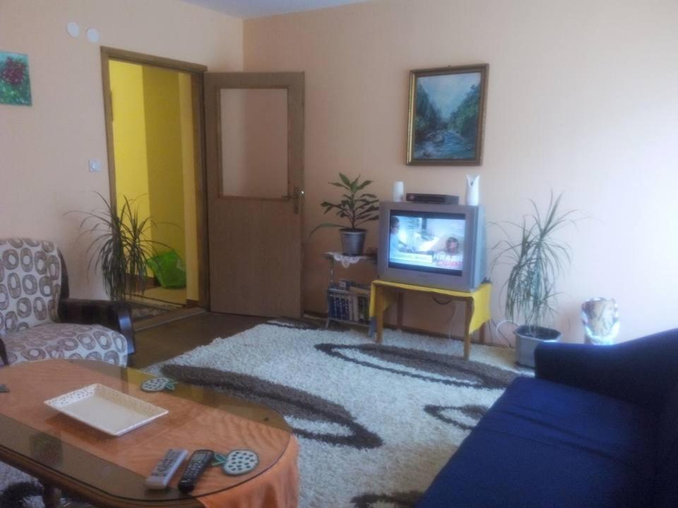 Guest House Radovic Tjentiste Extérieur photo