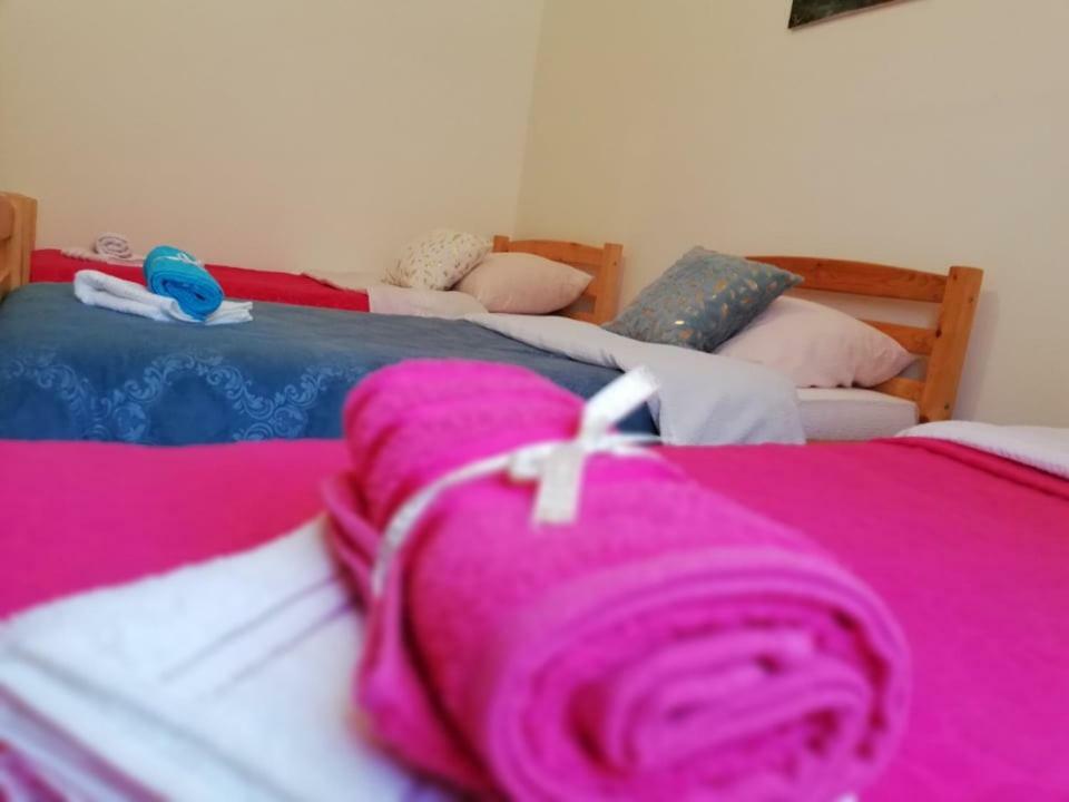 Guest House Radovic Tjentiste Extérieur photo